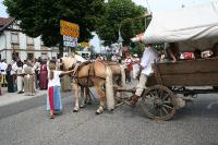 IMG_6494 (2) 